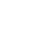 Crown and Bat Charlotte Dark Scene Logo